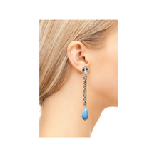 Load image into Gallery viewer, Brilla Brilla Blue Earrings *
